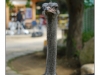Korea - Day 13 - Nami Seom - 31